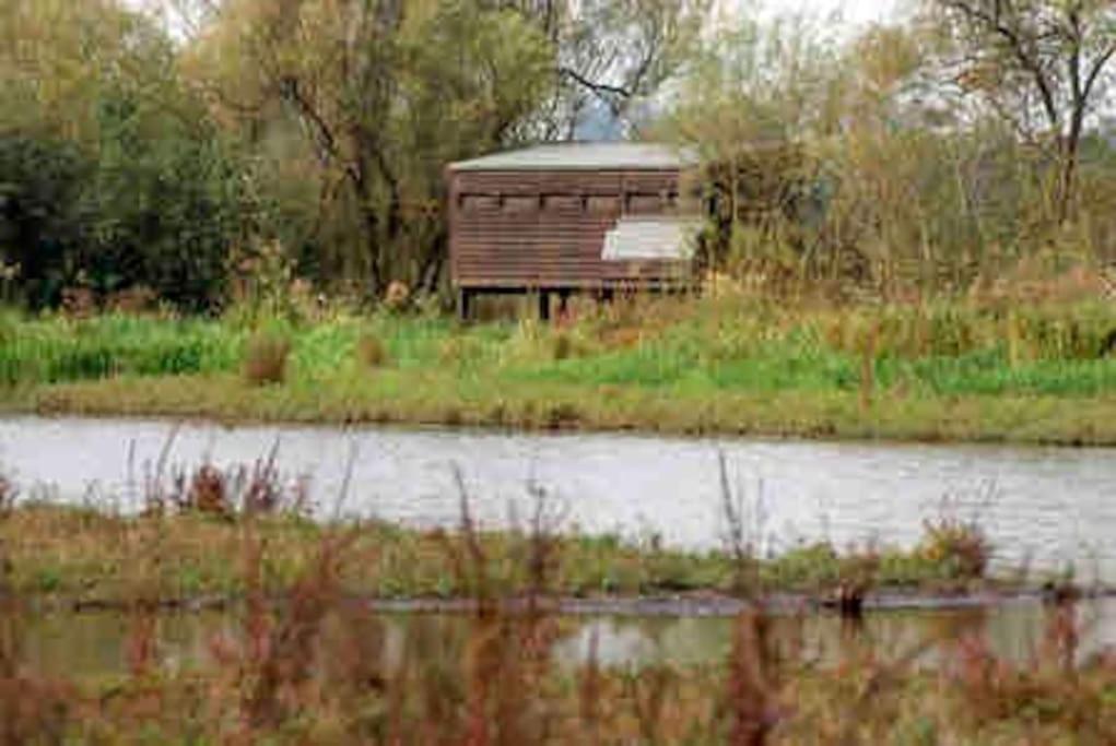 The Loft At The Croft - Stunning Rural Retreat Perfect For Couples & Dogs Villa Leigh  Kültér fotó